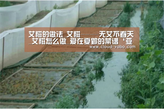 艾糍的做法_艾糍----无艾不春天_艾糍怎么做_爱在夏郢的菜谱‘亚博棋牌’(图2) 亚博棋牌