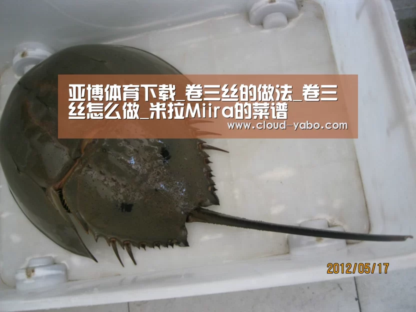 亚博棋牌