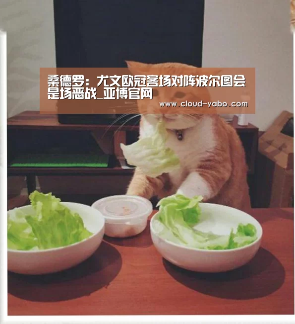 桑德罗:尤文欧冠客场对阵波尔图会是场恶战_亚博官网(图2) 亚博app