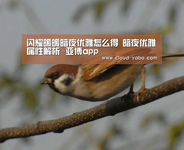 闪耀暖暖暗夜优雅怎么得 暗夜优雅属性解析-亚博app(图2) 亚博棋牌