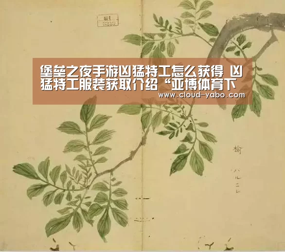 亚博体育下载